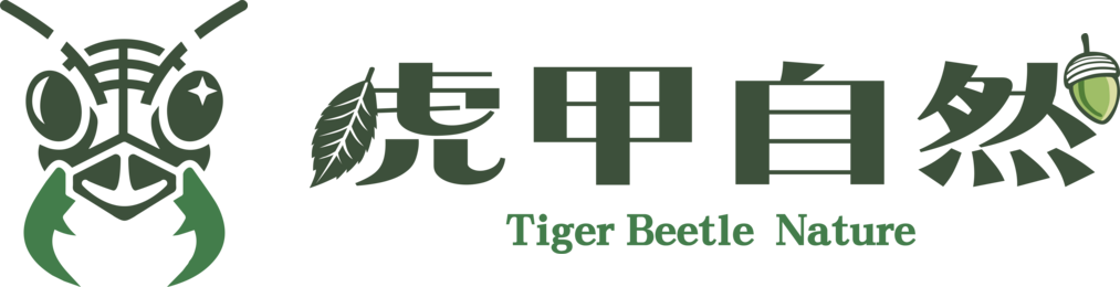 虎甲自然