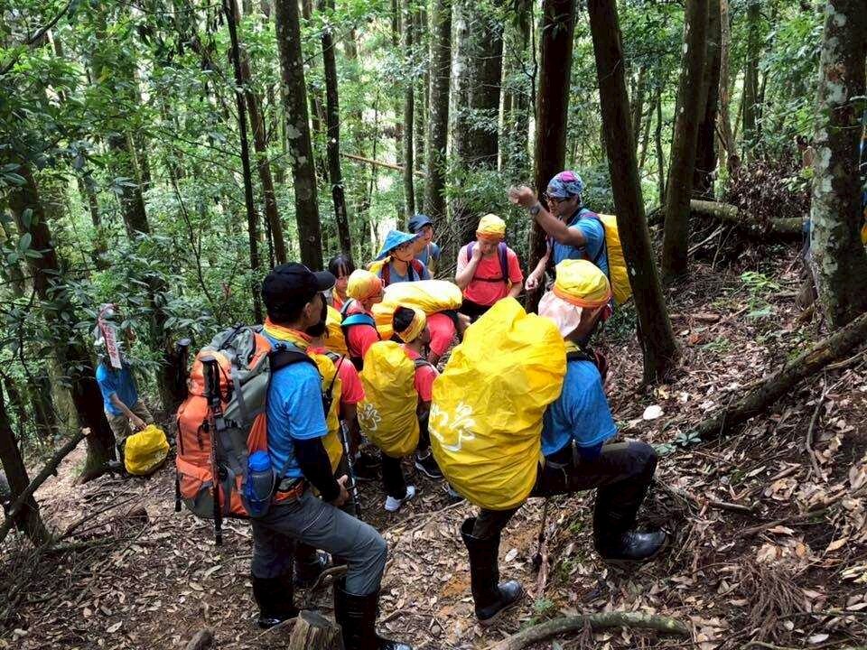帶狀系統化課程:孩子在森林步道中隨隊行進